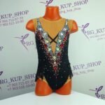 Leotard Y-1493-1
