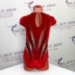 Leotard Y-1352-1 - Image 3